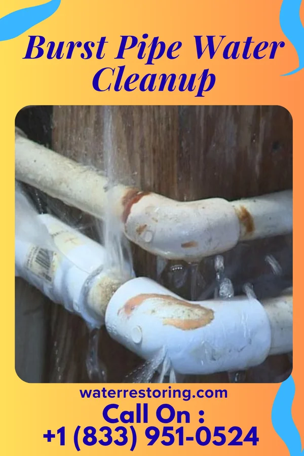 Burst Pipe Water Cleanup in Donna, TX