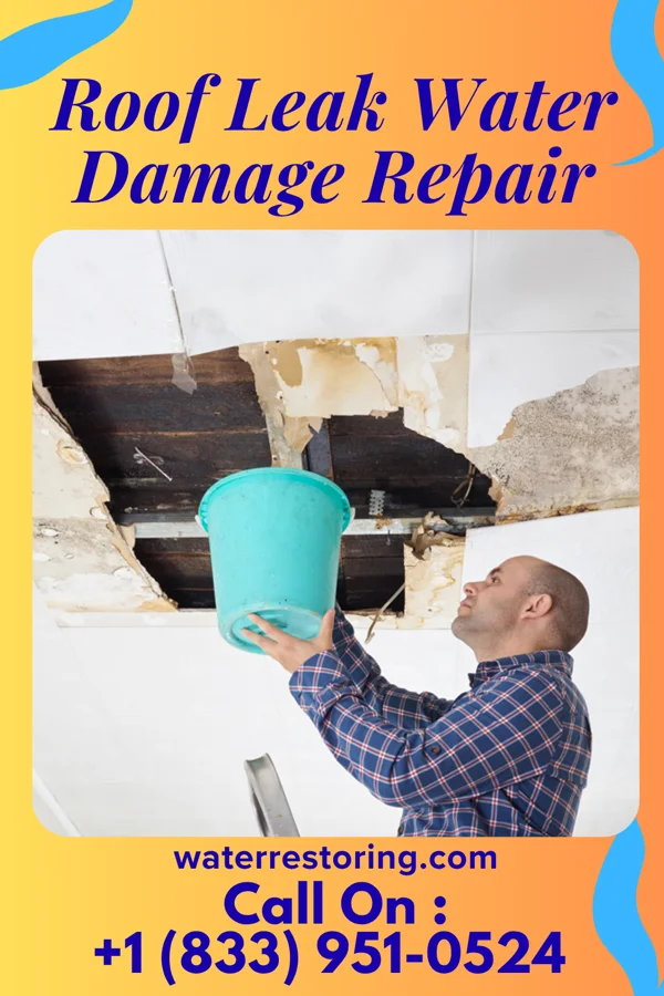 Roof Leak Water Damage Repair in Donna, TX