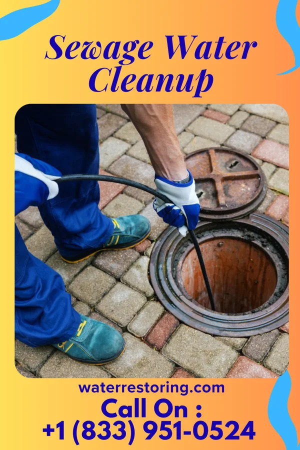 Sewage Water Cleanup in Donna, TX